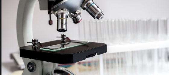 Химически устойчивая стеклянная панель для гистологии/цитологии 1300*1100 мм